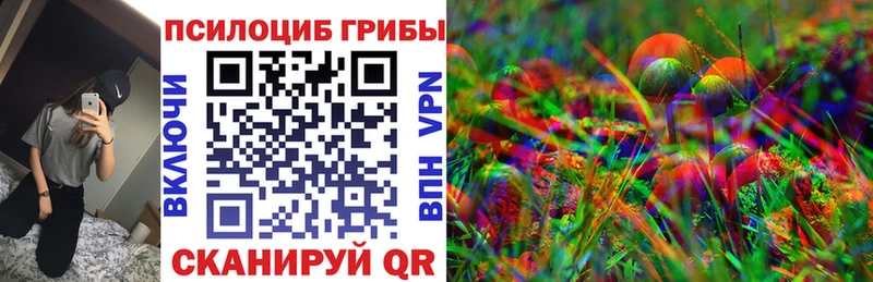 площадка клад  Тырныауз  Псилоцибиновые грибы мухоморы 